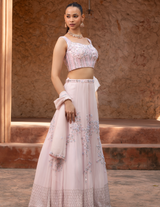 Baby Pink Floral Handwork Lehenga