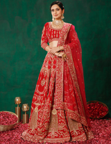 Rust Lehenga Choli Set