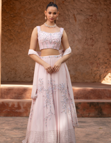 Baby Pink Floral Handwork Lehenga
