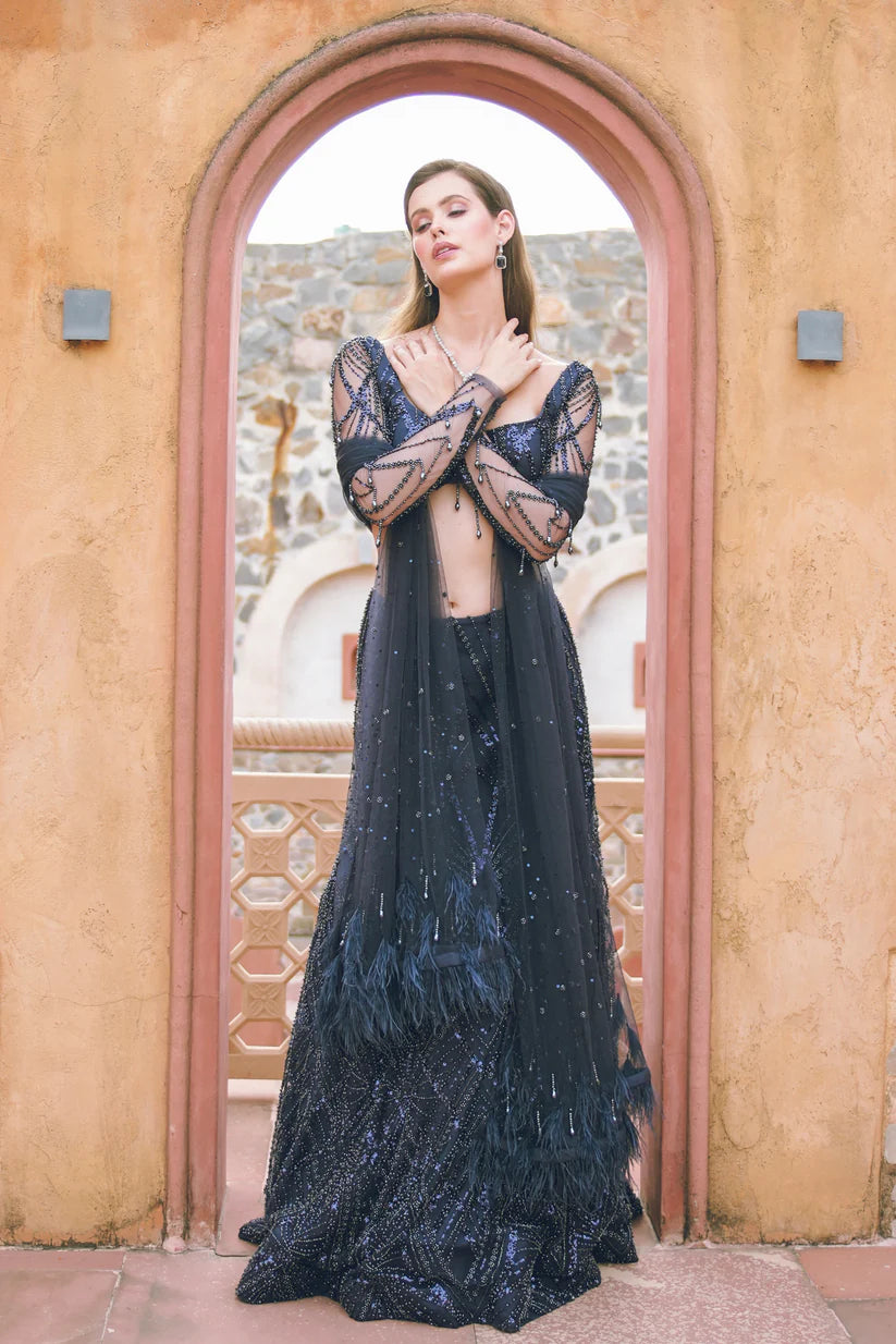 Dark Blue Embroidered Lehenga Set