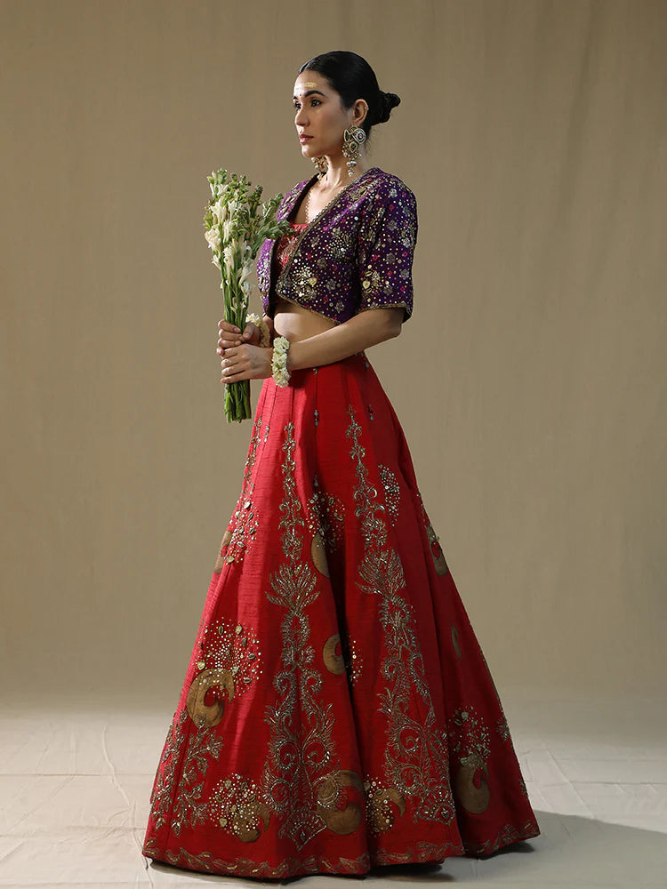 Red Brushstroke Lehenga Set