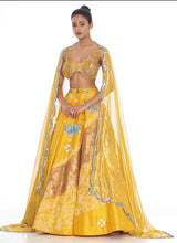 Yellow Foil Handpainted Lehnga Set