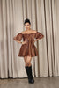 Brown Hand Embroidered Organza Mini Dress
