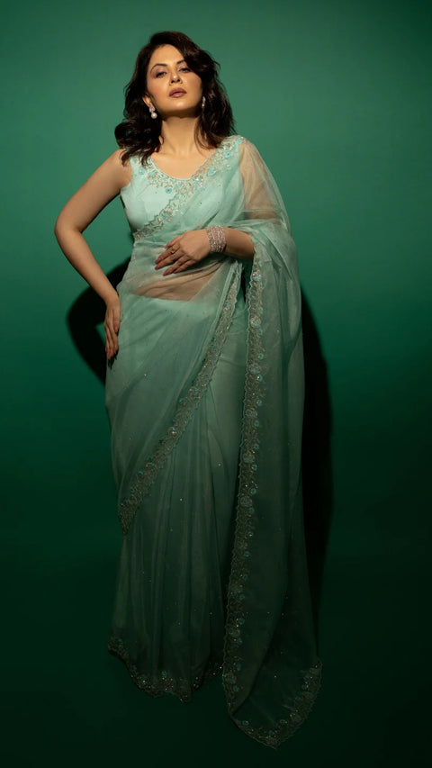 Sky Blue Hand Embroidered Saree Organza And Matching Floral Embroidered Blouse