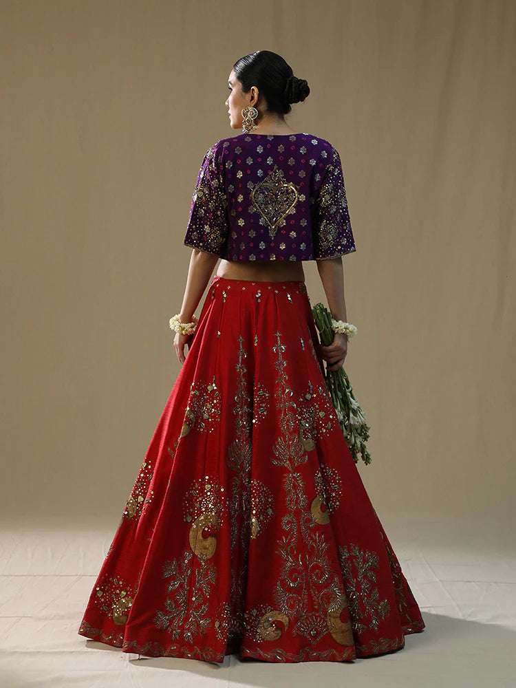 Red Brushstroke Lehenga Set