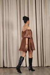 Brown Hand Embroidered Organza Mini Dress