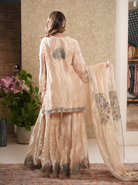 Taraash-Golden Tissue Embroided Sharara Set