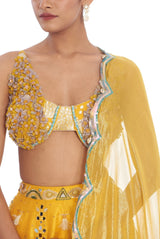 Yellow Foil Handpainted Lehnga Set