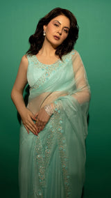 Sky Blue Hand Embroidered Saree Organza And Matching Floral Embroidered Blouse