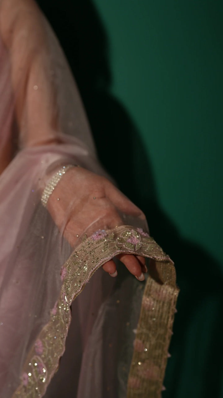 Baby Pink Hand Embroidered Saree Organza And Matching Floral Embroidered Blouse