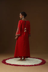 Laal Rooh Embroidered Suit Set
