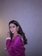 Sitara - E - Noor Saree