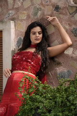 Red Embroidered Corset Fishcut Skirt