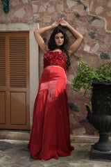 Red Embroidered Corset Fishcut Skirt