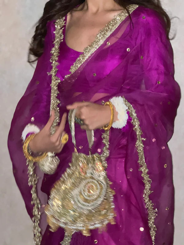Sitara - E - Noor Saree