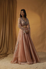 Peach Organza Lehenga Set