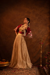 Aureate-Cape Style Embroidered Tissue Skirt Set