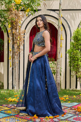 Navy Blue Mirror-Embellished Blouse & Shimmer Organza Lehenga Set