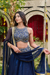 Navy Blue Mirror-Embellished Blouse & Shimmer Organza Lehenga Set