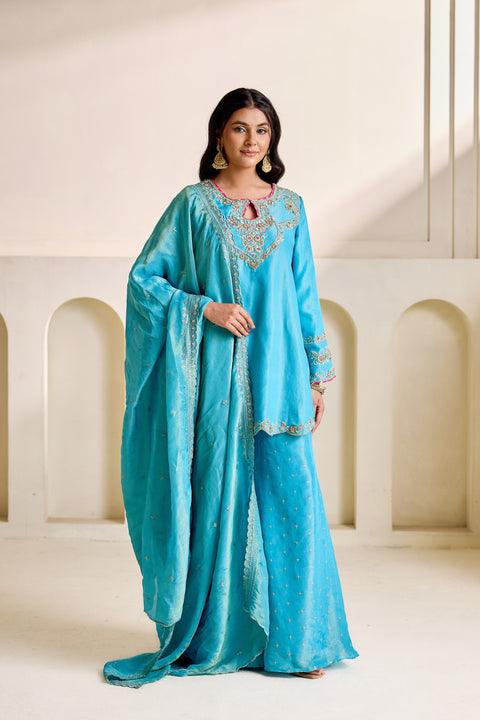 Sky Blue Embroidered Cosmos Kurti & Flared Plazo Set