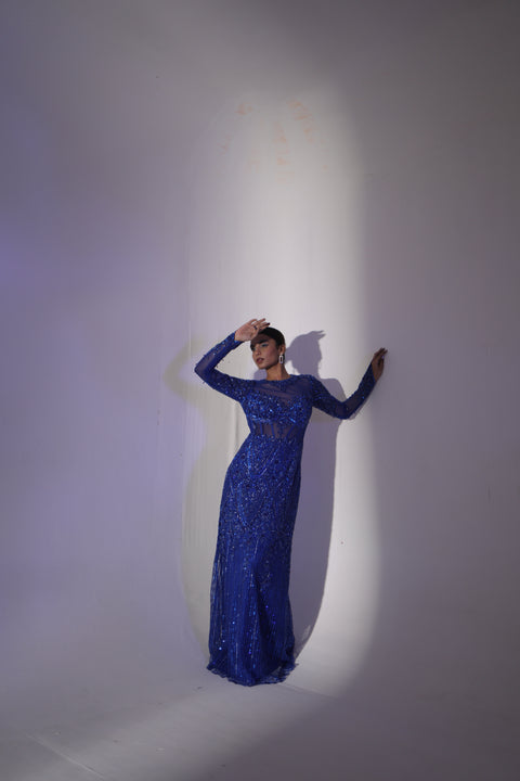 Blue Embroidered Gown Set