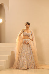 Nude Embroidered Lehenga Set