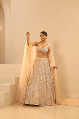 Nude Embroidered Lehenga Set