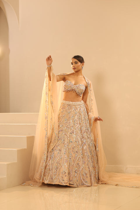 Nude Embroidered Lehenga Set