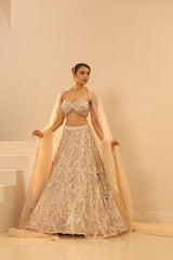 Nude Embroidered Lehenga Set