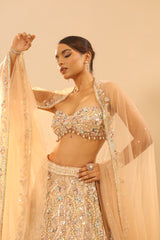 Nude Embroidered Lehenga Set