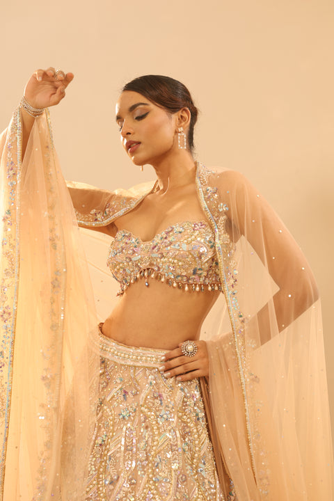 Nude Embroidered Lehenga Set