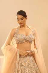 Nude Embroidered Lehenga Set