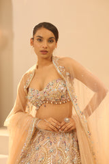 Nude Embroidered Lehenga Set