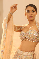 Nude Embroidered Lehenga Set