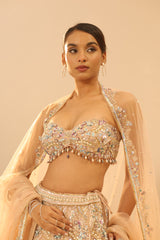 Nude Embroidered Lehenga Set