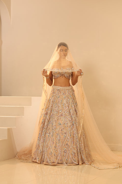 Nude Embroidered Lehenga Set