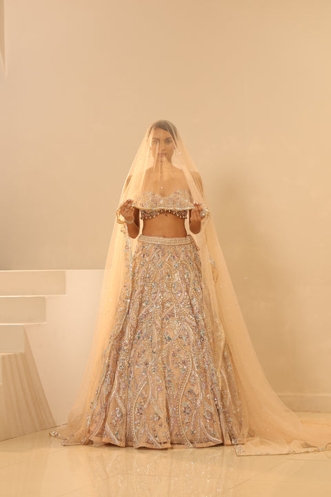 Nude Embroidered Lehenga Set