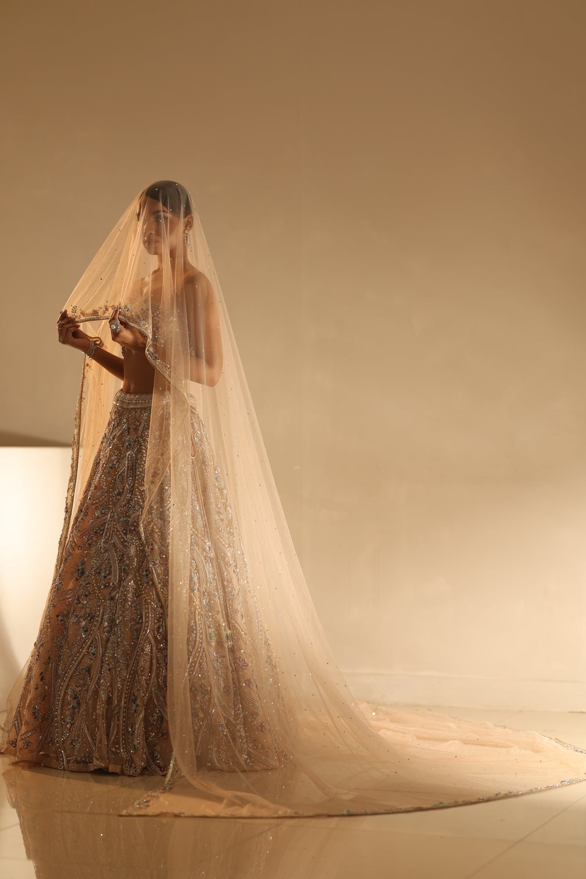 Nude Embroidered Lehenga Set