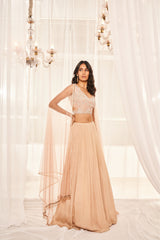 Blush Pink Lehenga Set