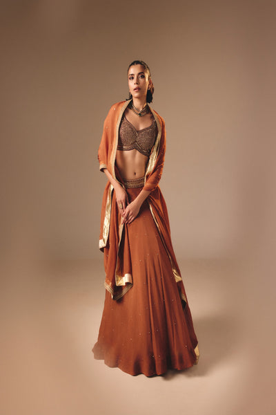 Rust Brown Lehenga Set