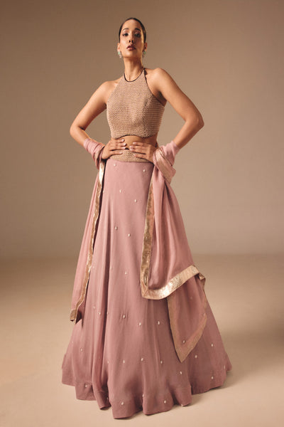Wine Lehenga Set