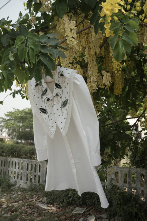 White Cotton Long Collar Dress