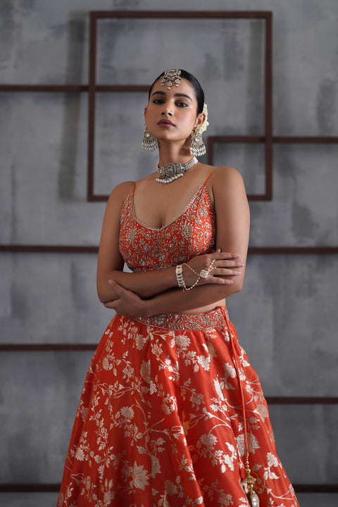 Orange Embroidered Bustier, Banarsi Lehenga And Dupatta