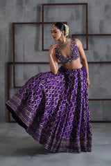 Purple Embroidered Blouse, Banarsi Lehenga And Dupatta