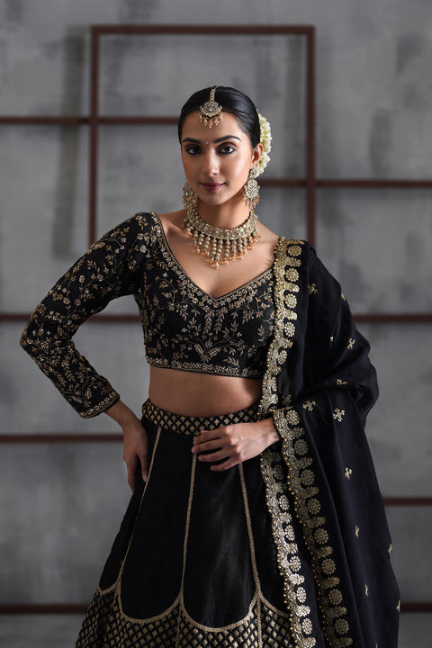 Black Embroidered Blouse, Brocade Lehenga And Dupatta
