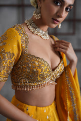 Yellow Embroidered Blouse, Lehenga And Dupatta