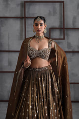 Brown Embroidered Blouse, Lehenga And Dupatta