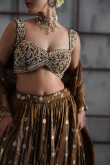 Brown Embroidered Blouse, Lehenga And Dupatta