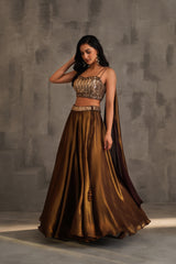 Bronze Embroidered Bustier And Lehanga