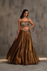 Bronze Embroidered Bustier And Lehanga